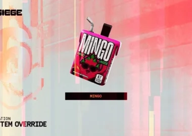 [R6S] Y11S2 Streamer Charms