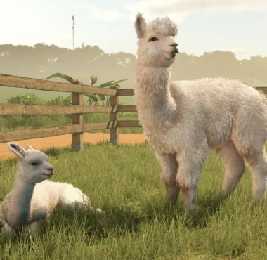 Farming Simulator 25 Beans and Alpacas Expansion Announced - Simulation Daily