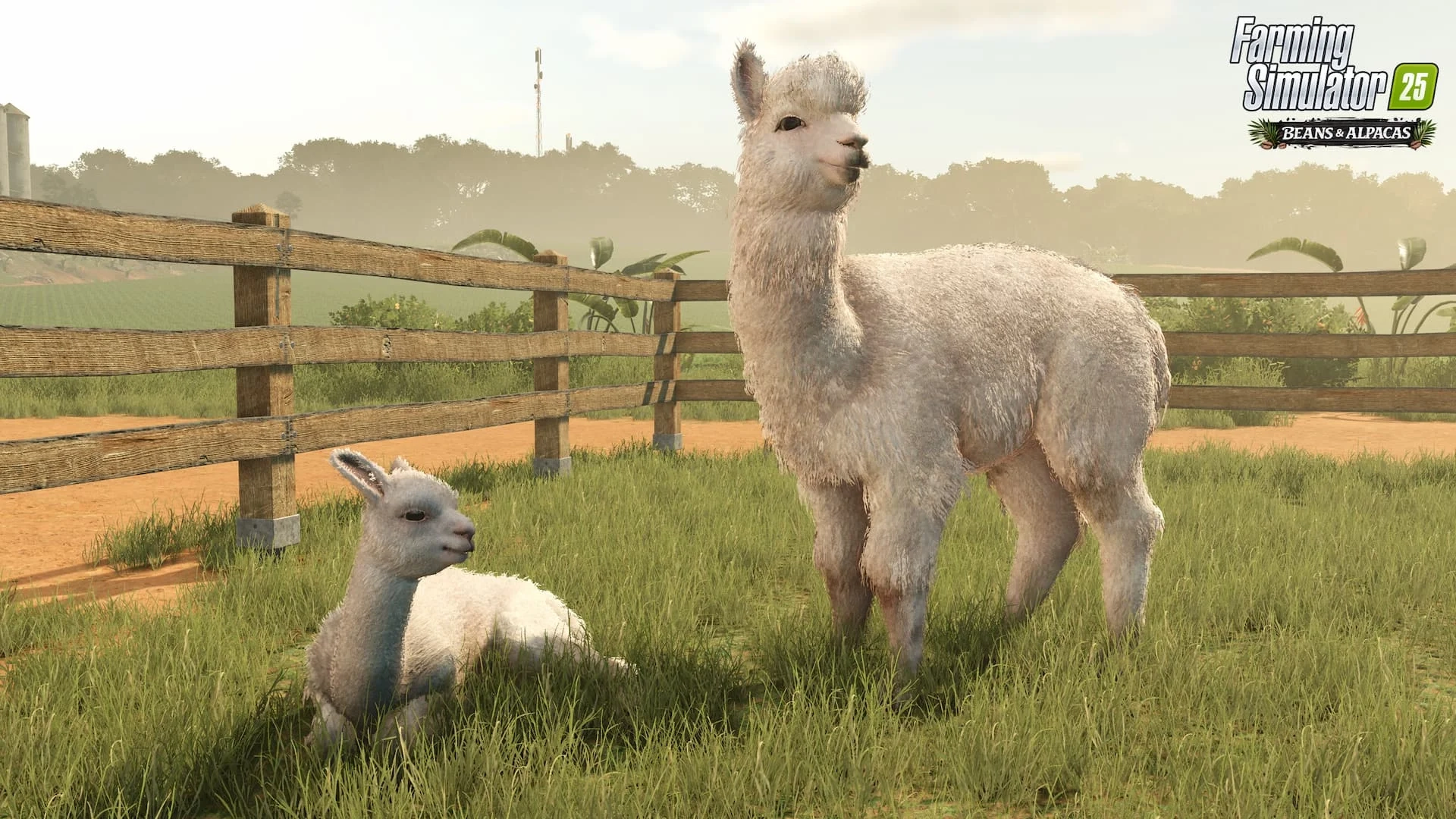 Farming Simulator 25 Feijões e Alpacas alpacas