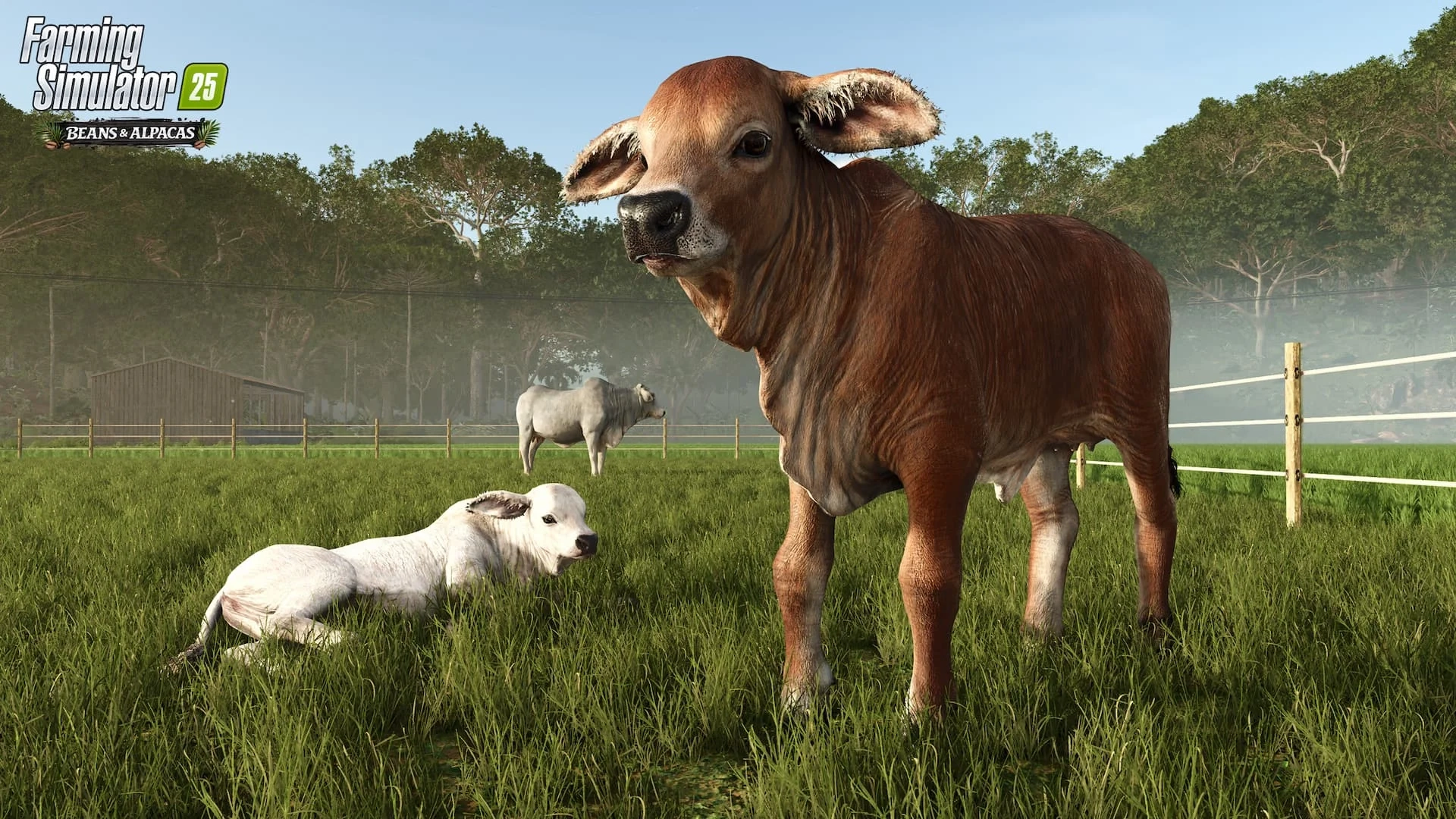 Farming Simulator 25 Feijões e Alpacas vacas brahman