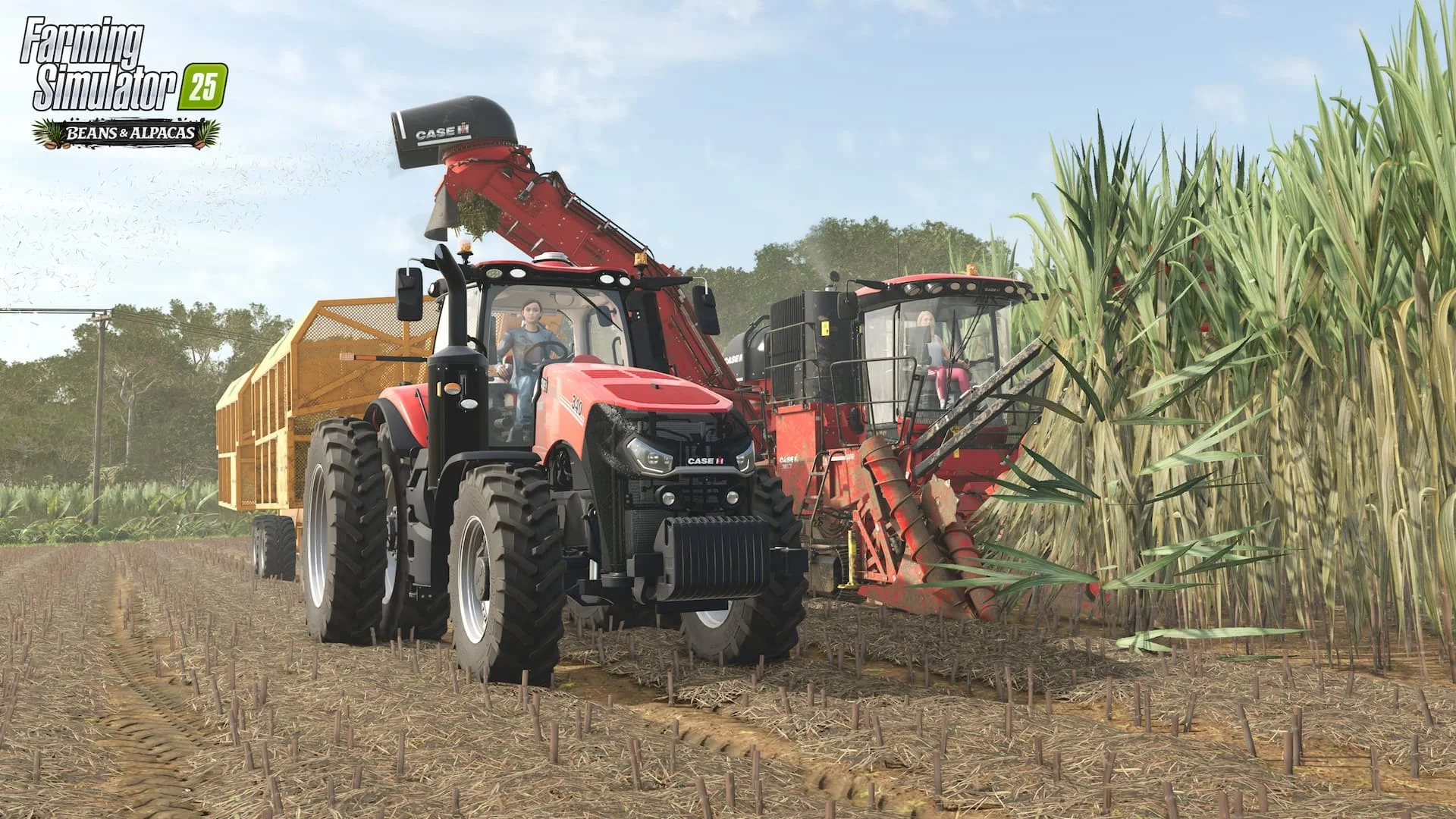 Farming Simulator 25 Feijões e Alpacas colhendo cana-de-açúcar