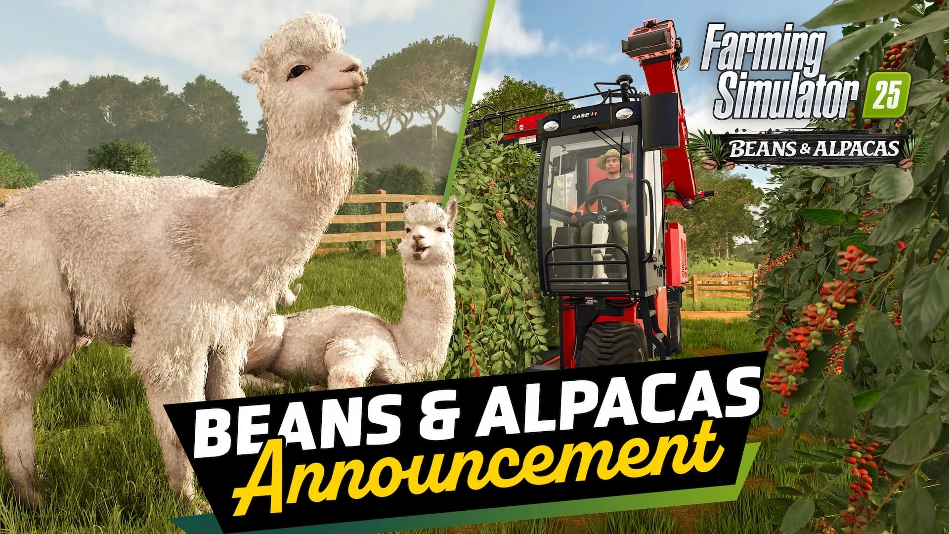 Farming Simulator 25 Feijões e Alpacas arte chave 2