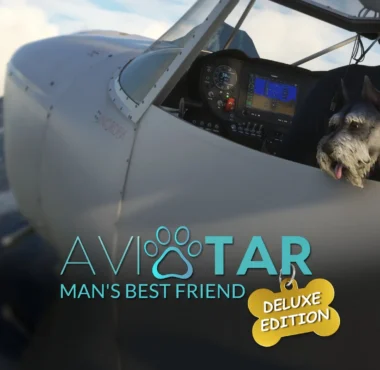 Soon You'll Be Able to Fly With a Good Boy (and More) in Microsoft Flight Simulator 2024 - Simulation Daily
