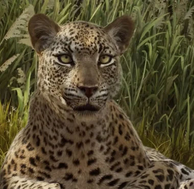 Planet Zoo 2 Shows off the African Leopard - Simulation Daily