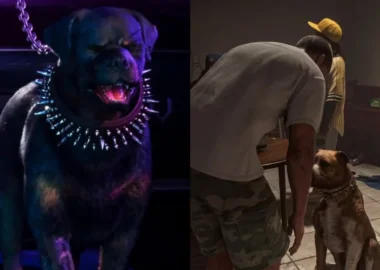 GTA 6 will actually let you use dog poop as a weapon - Dexerto