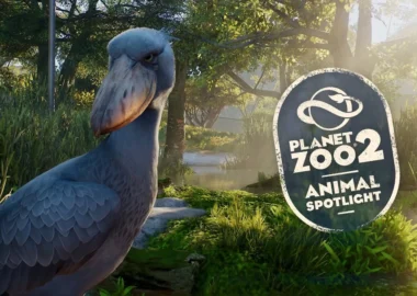 Planet Zoo 2 Spotlight Introduces the Prehistoric-Looking Shoebill - Simulation Daily