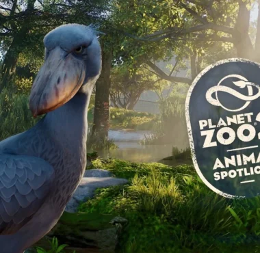 Planet Zoo 2 Spotlight Introduces the Prehistoric-Looking Shoebill - Simulation Daily
