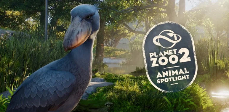 Planet Zoo 2 Spotlight Introduces the Prehistoric-Looking Shoebill - Simulation Daily