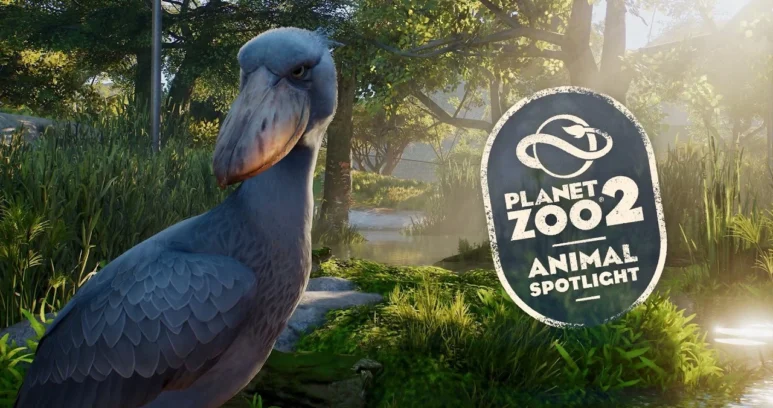 Planet Zoo 2 Spotlight Introduces the Prehistoric-Looking Shoebill - Simulation Daily