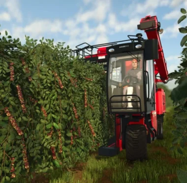 Farming Simulator 25: Beans & Alpacas Details Coffee Plantations, Harvesting & More