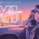 All New GTA 6 Album Artwork And Vinyls Gallery