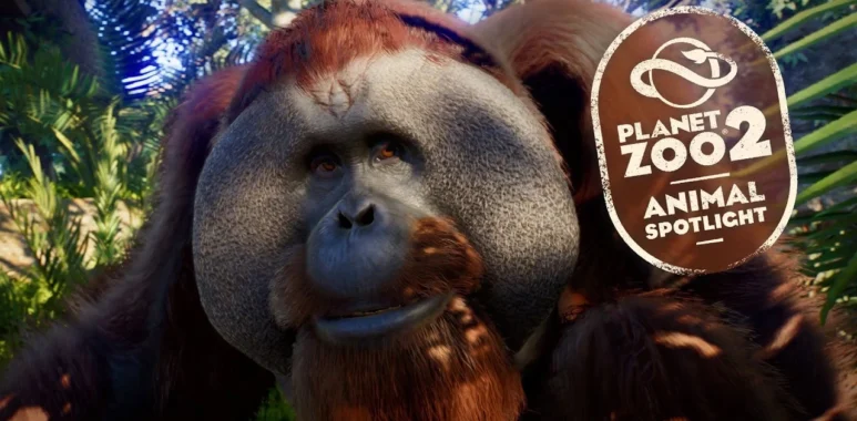Planet Zoo 2 Latest Animal Spotlight Introduces the Sumatran Orangutan - Simulation Daily